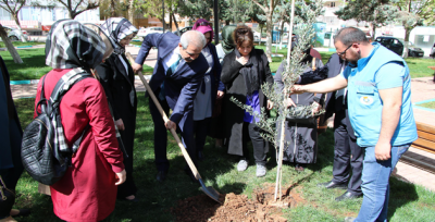 Başkan Demirkol, Şehit Annesi İle "Zeytin" Fidanı Dikti