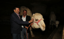 Başkan Ekinci," Mağaralar Turizme Kazandırılacak "