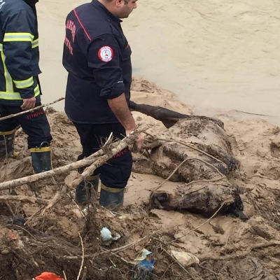 Bataklığa Saplanan Atı İtfaiye Kurtardı