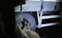 Batıya giden uyuşturucu 'HERÖ'  buldu