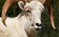 Bayram Tatili 9 Gün Oluyor