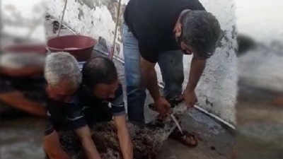 Bayram'ın ilk kurbanları kesildi!