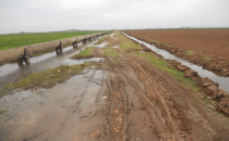 Bilinçsiz sulama devam ediyor