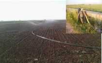 Bilinçsiz sulama ile Harran Ovası yok ediyor