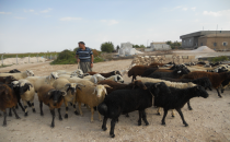 Bir ay kala satışlar başladı