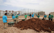Bir Haftada Bine Yakın Ağaç Toprakla Buluşturuldu