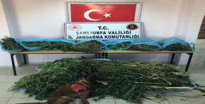 Birecik'te Uyuşturucu Operasyon 