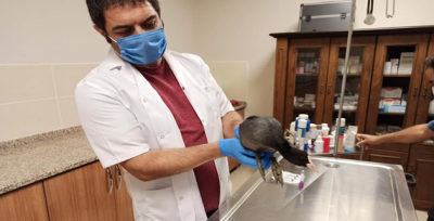 Bitkin halde bulunmuştu!