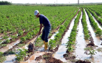 Borcu Olanda olmayanda mağdur oldu