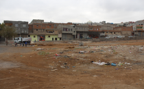 Boş arazide hayvan pisliği