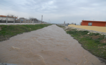 Bu yıl bereketli geçti