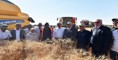 Buğday alım fiyatı açıklandı