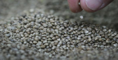 Bunu Yapmak İsteyenler Dikkat! 