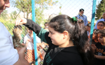 Büyükşehir Çocuklara Hayvan Sevgisini Aşılıyor