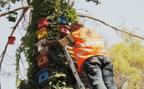 Büyükşehir Doğal Alanlarında Yaşayan Kuşları Unutmadı