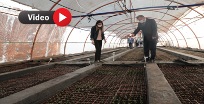 Büyükşehir Kendi Çiçeğini Üreterek Yıllık 1.5 Milyon Tl Tasarruf Sağlayacak