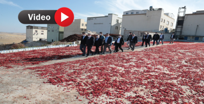 Büyükşehir, Meslek Sitelerinin Taşınmasını Hızlandırıyor