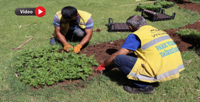 Büyükşehir Şanlıurfa'yı Yeşillendirmeye Devam Ediyor 