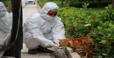 Büyükşehir sokak hayvanlarını unutmuyor