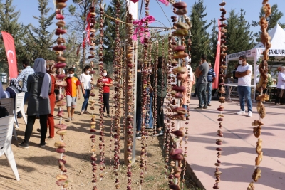 Büyükşehir, Tülmen'de Şire Şenliği Düzenledi