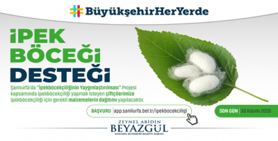 Büyükşehir'den İpekböcekçiliğinin Yaygınlaştırılmasına Destek 