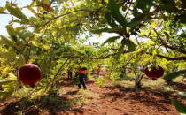 Büyükşehir'den Örnek Çalışma