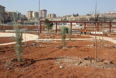 Buyuksehirden yeşil atağı