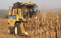 Çelik, Mısır taban fiyatında artış oldu