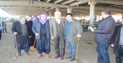 Cevheri, Canlı Hayvan Pazarını Ziyaret Etti
