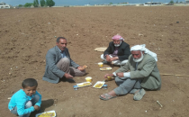 Çevre köylüler toplanınca yemekler tarlalarda yendi