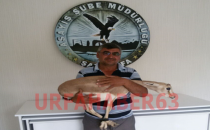 Ceylanı Çalan Hırsız Tutuklandı