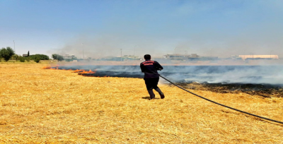 Ceylanpınar' da Anız Yangını Çıktı 