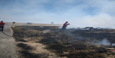 Ceylanpınar' da Anız Yangını