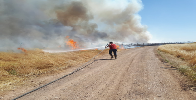 Ceylanpınar'da anız yangını