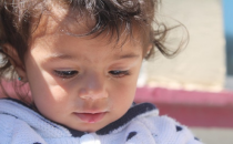 Çiçek ailesinin yaşam savaşı sürüyor