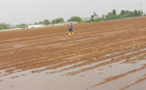 Çiftçi girdileri gelirleri yok etti