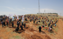 Çiftçi Şanlıurfa'da Ağaçlandırma Seferberliği Başlattı