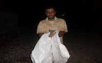 Çiftçiler Tilkileri kurtardı