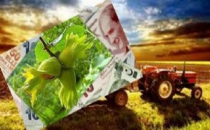 Çiftçilere 4 milyar 210 milyon TL'lik destek ödemesine başlanıyor