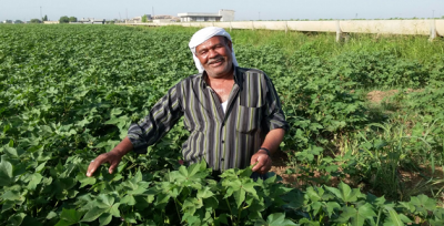 Çiftçilere Fakıbaba Desteği
