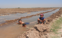 Çocukların çamurlu tarlada havuz keyfi