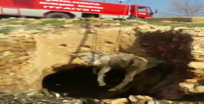 Çukura düşen at'ı itfaiye ekipleri kurtardı