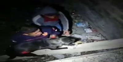 Çukura Düşen Köpek İtfaiye Ekipleri Tarafından Kurtarıldı