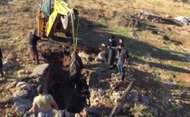 Çukurda mahsur kalan inek kurtarıldı