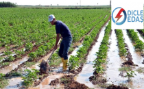 DEDAŞ, Çiftçi İle Anlaştı