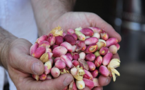 Değerlere sahip çıkılıyor