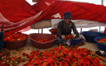 Depresyona iyi geliyor