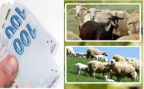 Destekleme ödemelerinde devrim!