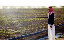 Dicle Elektrik, Kayıtsız Çiftçileri De Uyardı!