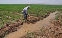 Dicle Elektrik'ten Borçlu Çiftçilere Jest !